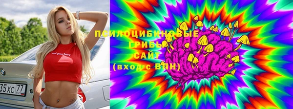 прущая мука Вязьма